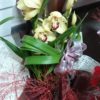 Orquídeas - Image 4