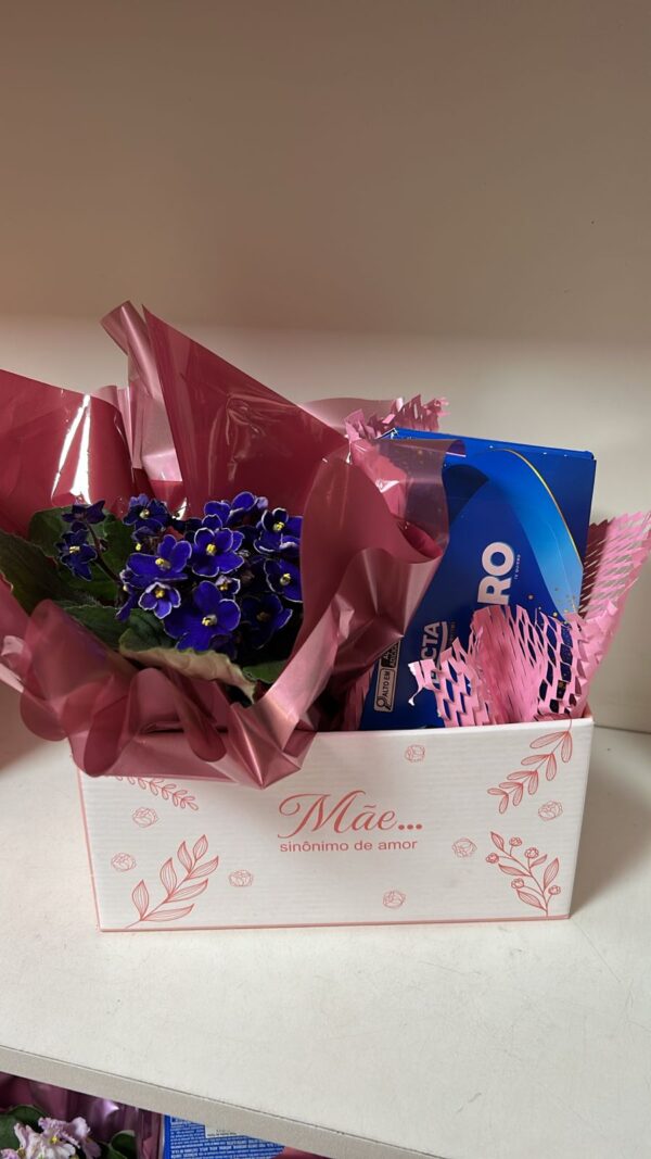 Combo Violeta