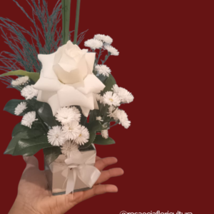 Amor em cubo de vidro